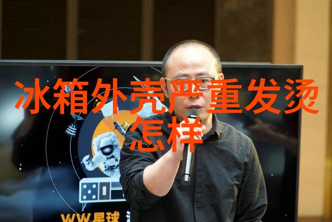 海尔变频冰箱受欢迎 三门设计热卖中