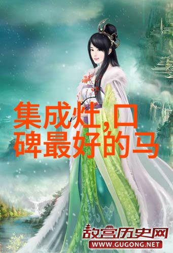 笛尔电磁炉定位中高端 新品于7月底面市