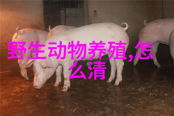 更多人性化设计 LG荷塘印花冰箱手捧