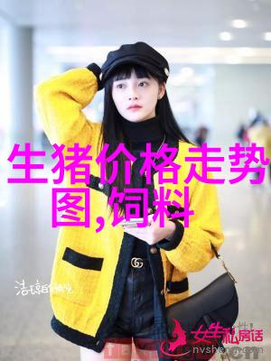 博世两门冰箱 国美电器仅售2847元