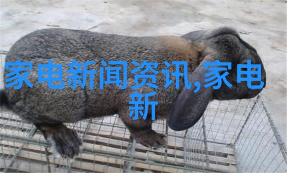 东方基金总经理刘鸿鹏坚守本源以持有人利益为先